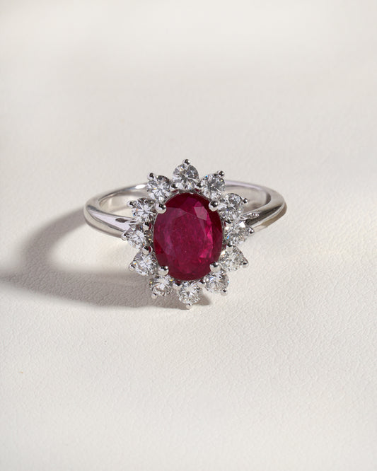 Laya  Natural Ruby &  Natural  Diamond Halo Ring in 18K White Gold